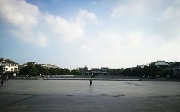 4开的蟋蟀广场读后感参考5篇