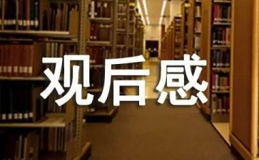 党会议观后感7篇
