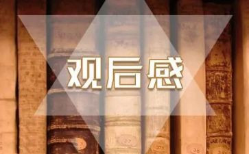 观后感500字作文7篇