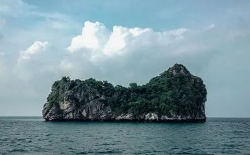 孤岛读后感5篇