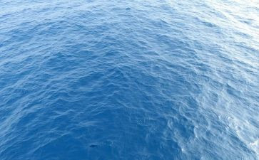 海务管理年终工作总结模板5篇