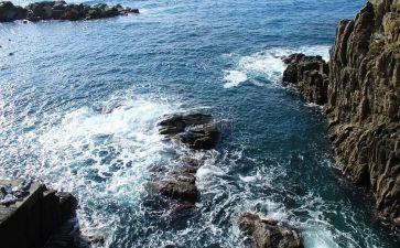 海洋日的演讲稿5篇