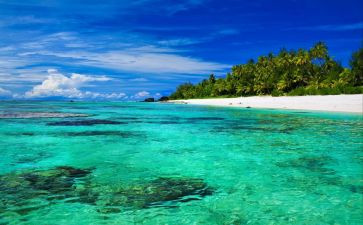 海伦·凯勒传读后感5篇