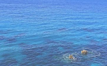 海苔的演讲稿模板5篇