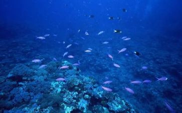 海底2万里,读后感通用6篇
