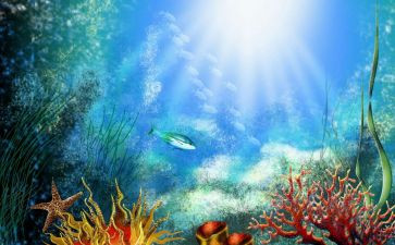 海底两万里的作文读后感6篇