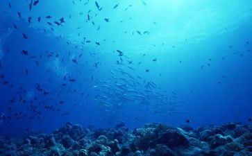 海底两万里读后感600字6篇