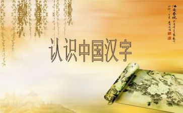 拼汉字活动方案5篇