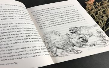 黑焰读后感400字模板6篇