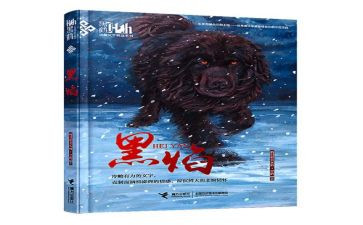 黑焰读后感300字通用7篇