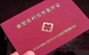 合疗年终工作总结参考8篇
