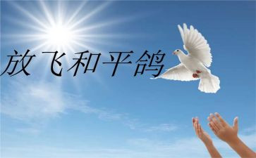 和平年代作文8篇