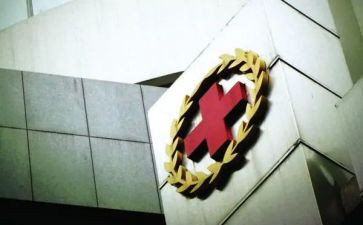 红十公益活动心得体会最新8篇