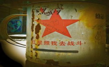 红星闪耀中国读后感5篇