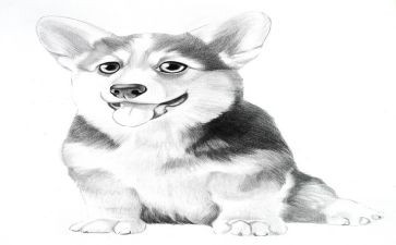 幼儿园小班《画》的教案优秀7篇