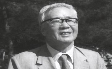 华罗庚的读后感5篇