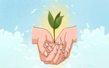 幼儿园环保教育总结8篇
