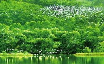 校园环境总结报告6篇