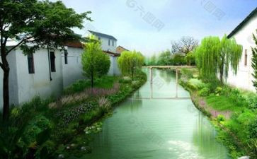 生态环境活动方案7篇