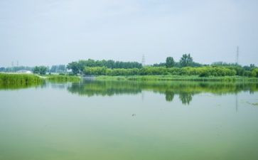 关于环境调研报告8篇