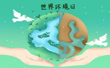 镇环境日活动总结6篇