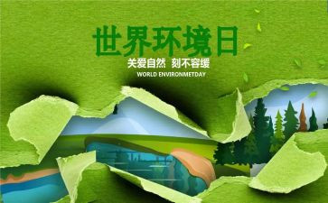 学校环境日活动总结5篇