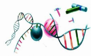 理化生组教研工作计划最新7篇