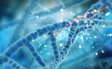 理化生组教研工作计划模板5篇