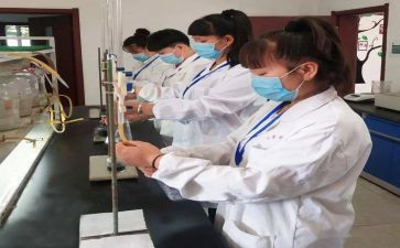 化验工作年度工作总结优质8篇