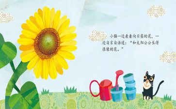 中班绘本优秀教案6篇