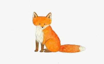 狐狸和猫的读后感优秀7篇