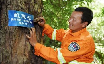护林员月总结7篇