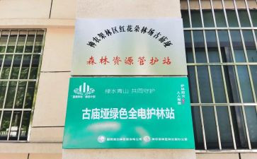 护林站工作总结优质6篇