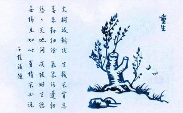 珍爱生命呵护生命心得体会7篇