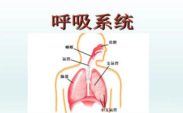 呼吸内科自我鉴定最新7篇