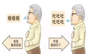 呼吸内科自我鉴定5篇