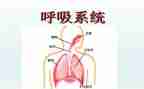 呼吸内科自我鉴定最新7篇