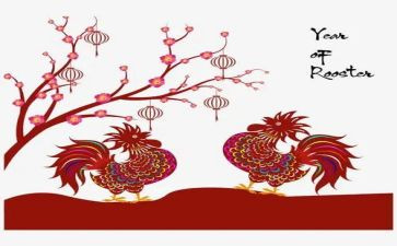 鸡的故事的读后感参考8篇