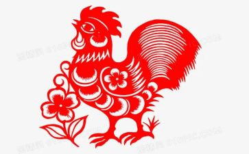 小鸡的蛋教案推荐7篇