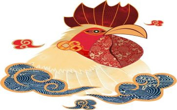小黄鸡作文5篇
