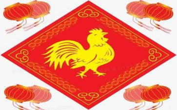鸡的调研报告7篇