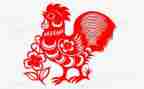 小鸡出壳啦教案5篇