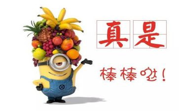 排嘉奖简要事迹材料6篇