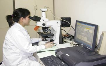 检测员述职报告范文7篇