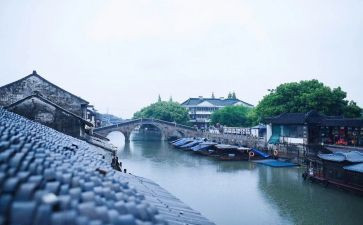 江苏卷作文满分作文6篇