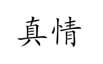 流露真情的作文精选7篇