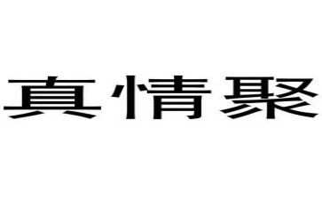让真情流露作文模板6篇