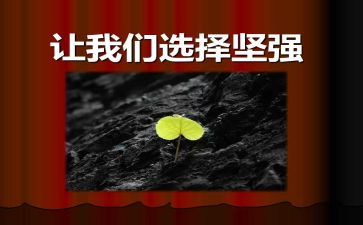 坚强的树作文5篇