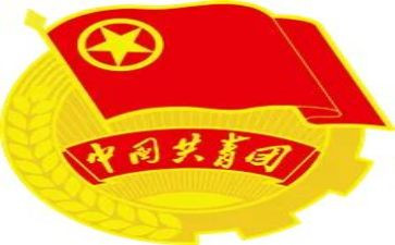 庆祝建团100周年心得体会6篇