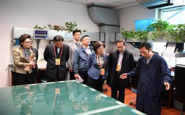 监委会主任述职报告5篇